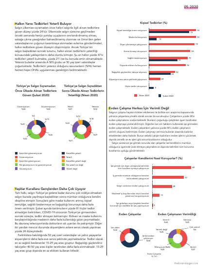 Working from home during the pandemic – report page 3