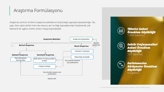 Customer Experience Management 2025 research – report page 6
