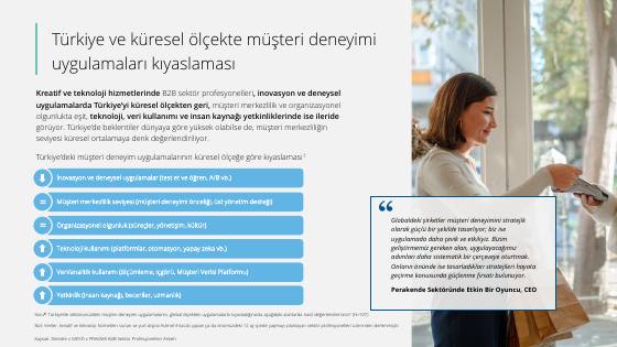 Customer Experience Management 2025 research – report page 9