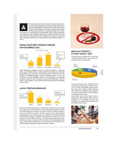 Alcohol consumption habits in Türkiye – report page 2
